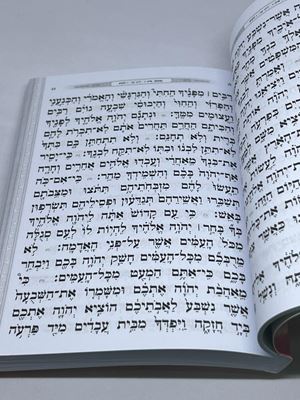 ספר דברים הרב פינטו ורוד