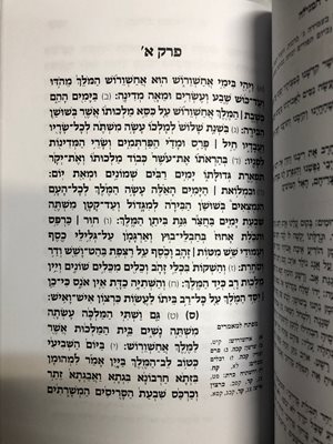 מגילת אסתר בעל הסולם