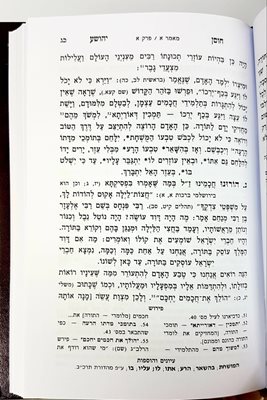 ספר חוסן יהושע